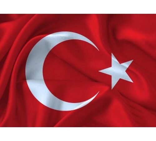 Bozkurt Marşı – İntikamın Alınacak Bozkurtlar Yemin Etti Şarkı Sözleri