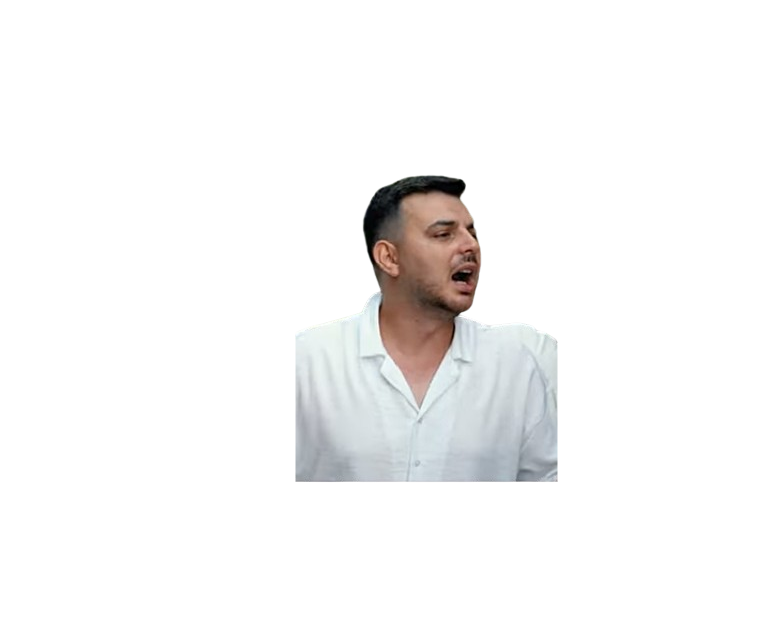 Ali Düzenli